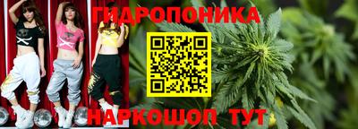 синтетический гашиш Заводоуковск
