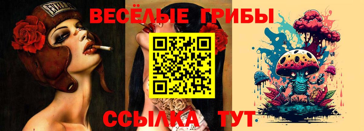 Псилоцибиновые грибы прущие грибы Лысьва